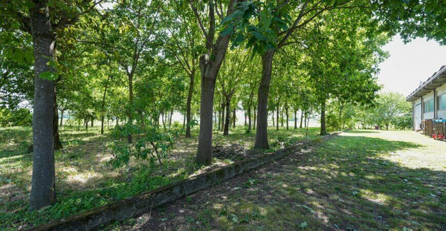 Bellissima villa con parco 4