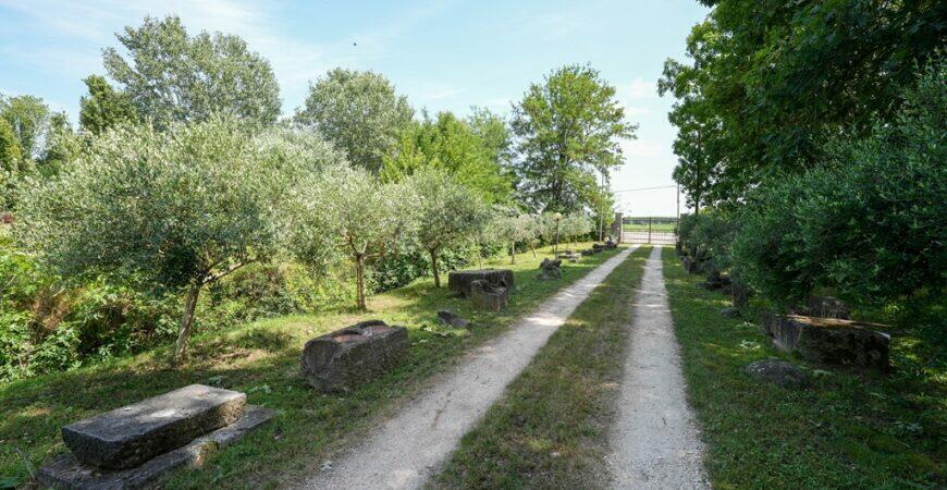 Bellissima villa con parco 5