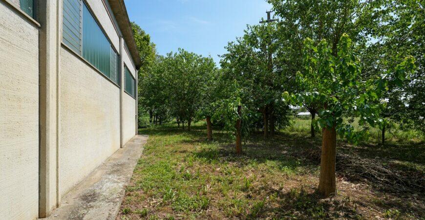 Bellissima villa con parco 14