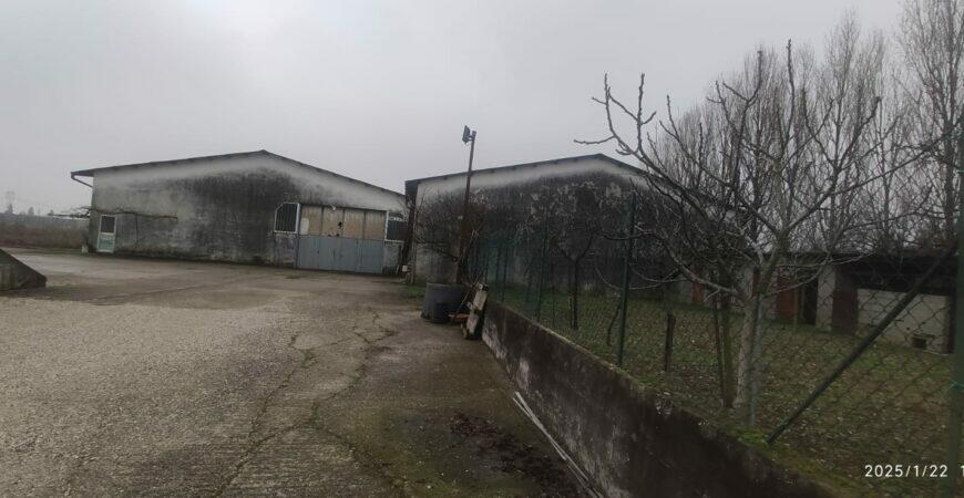 Ampia casa singola a Cerea 9