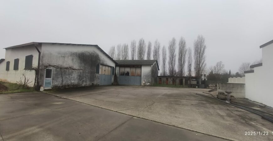 Ampia casa singola a Cerea 6