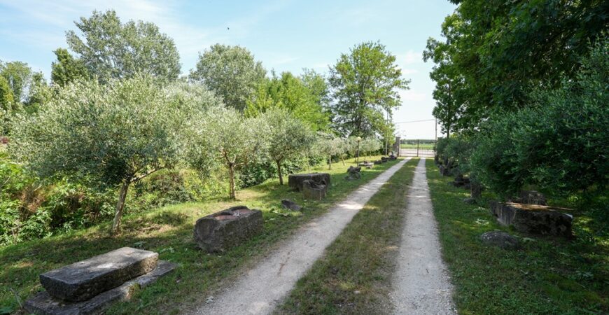 Villa a schiera unica nel suo genere 1
