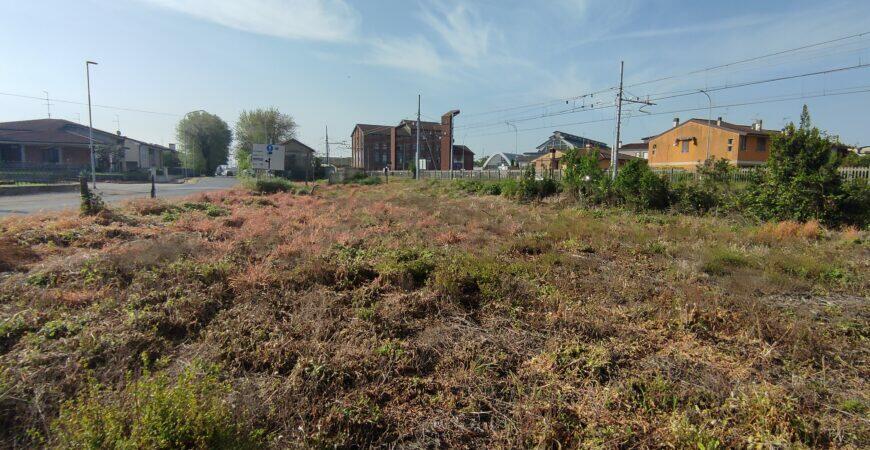 Rustico indipendente su terreno di 3000 mq 5