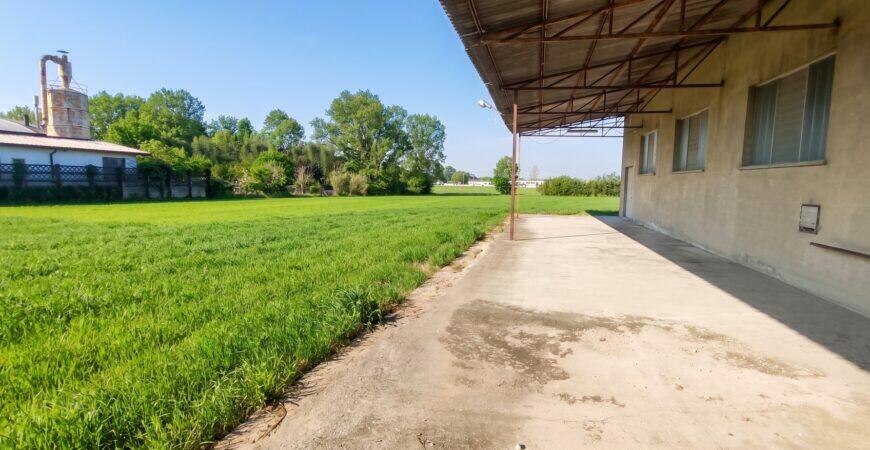 Casa con Terreno a Venera di Sanguinetto 15