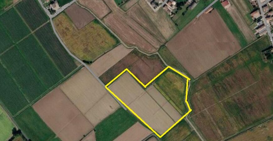 Terreno agricolo a Cherubine di Cerea 0