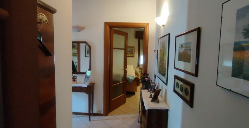 Casa singola a San Vito di Cerea 9
