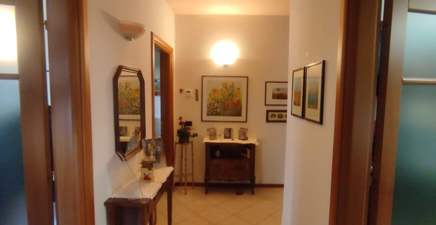 Casa singola a San Vito di Cerea 7